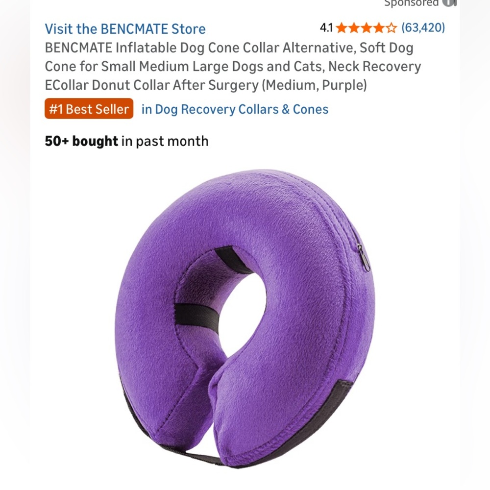 Purple Pet Inflatable Cone